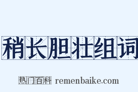 稍长胆壮组词是什么意思的图片